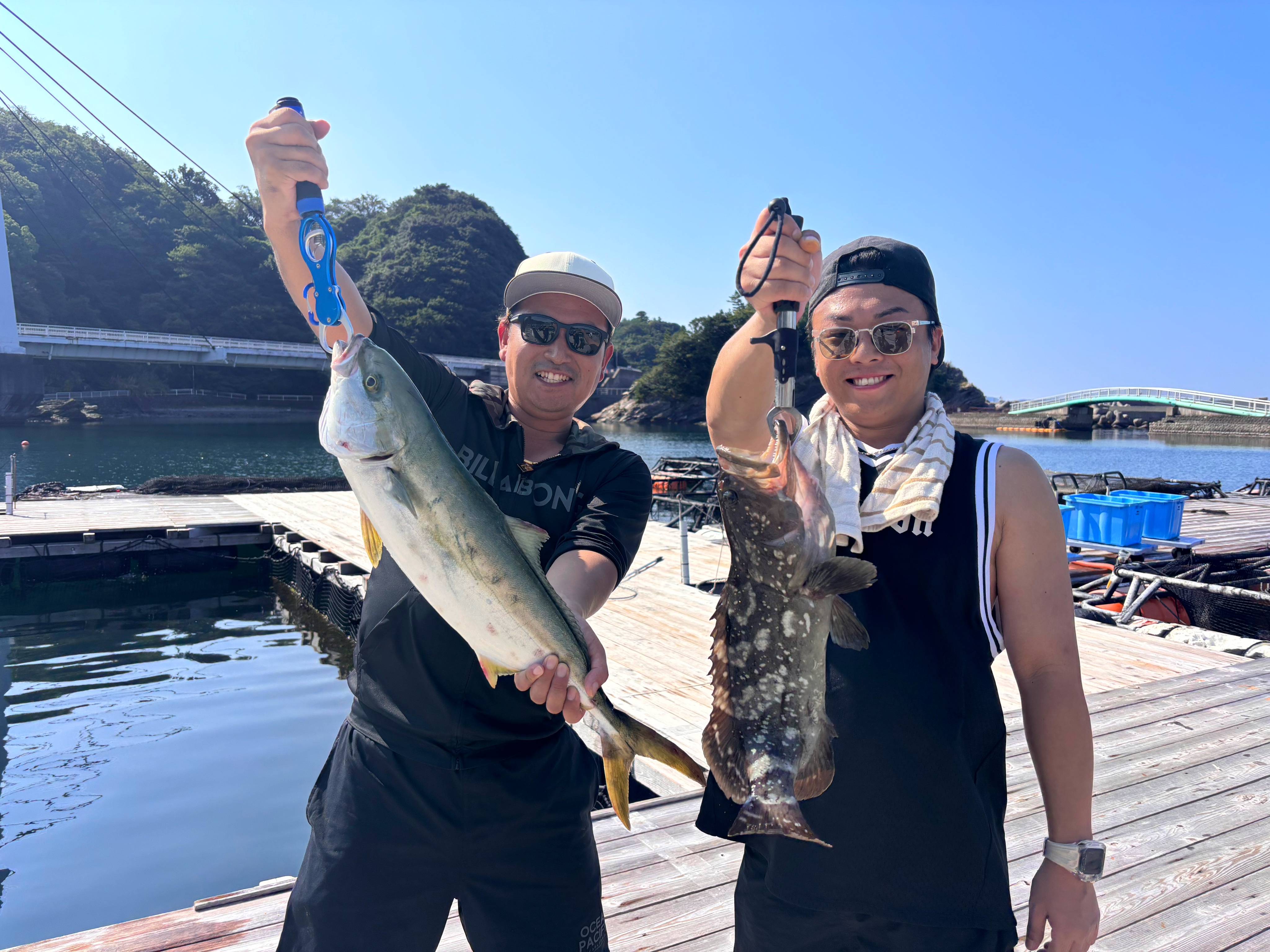 9月8日の釣果 タマクエ・ヒラマサ絶好調です✨ - 雑賀崎シーパーク